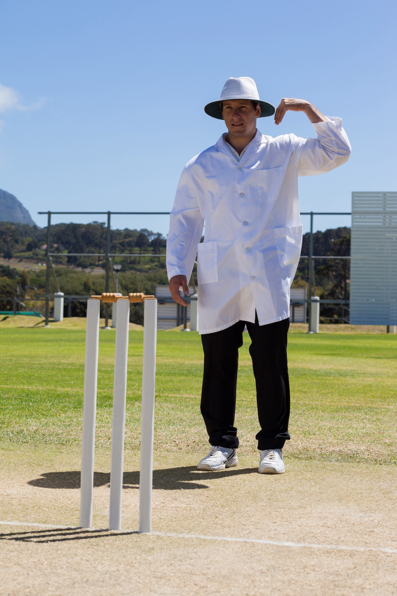 Cricket Umpire Signals What They Mean Illustrated with Images